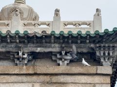 -塔尔寺