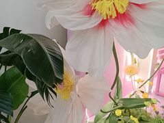 -阳光世纪奥特莱斯店