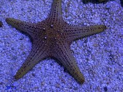 -多彩贵州城极地海洋世界