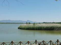 -野鸭湖国家湿地公园