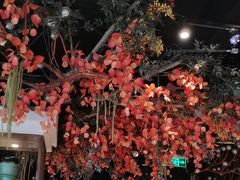 -郭家大院 老南京土菜(九霄店)