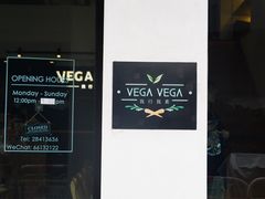 -VEGA VEGA 我行我素