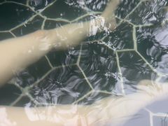 -海兰云天度假区温泉