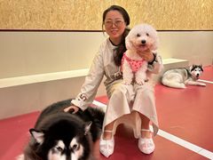 -和它·交个朋友·狗咖猫咖(爱琴海店)