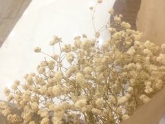 -Butchart布查德鲜花(花艺设计中心)