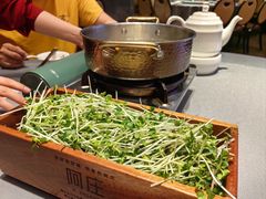 -阿庄新豫菜(航海东路店)