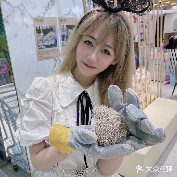 可以撸雪貂的店💘|遇见萌宠2.0