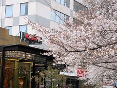 -玛格萝妮比萨屋(四平店)