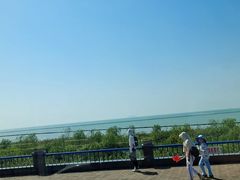 -合肥滨湖国家森林公园