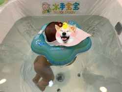 -乐悠游儿童游泳馆(宝安妇幼店)