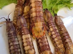 -鑫渔港海鲜本地菜·山海关浑锅(东戴河店)