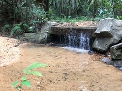 -广州市白云山风景名胜区