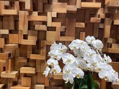 -园里火锅(仁和新城店)