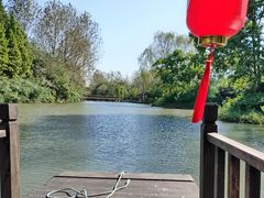 -溱湖国家湿地公园