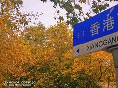 -八大关景区