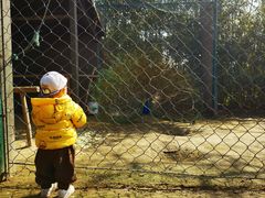 -合肥滨湖国家森林公园