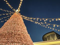 -狮王府淮扬菜(百家湖1912店)