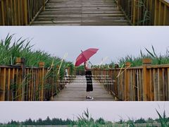 -水西公园