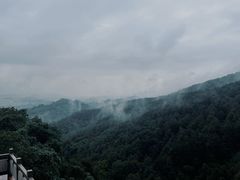 -铁山坪森林公园