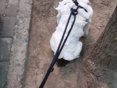 -宠福鑫动物医院(望京分院)