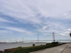 -海鸥岛