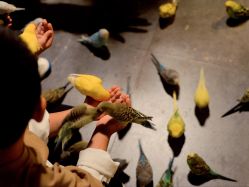 -酷嗒动物文化乐园(cutezoo西溪乐天城店)