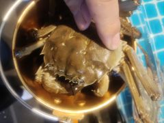 -九月海·海鲜自助(世纪东方店)