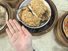 -宝塘茶楼