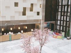 -零距离健身游泳(雁塔店)