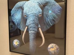 -新世界百货(明洞总店)