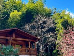 -宁波余姚老柿林山居度假村