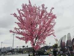 -首开·龙湖成都西宸天街