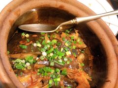 -甄御•海鲜新青岛菜(麦岛店)