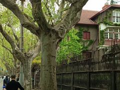 -璐坊粽王(复兴中路店)