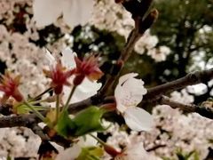 -同济大学(嘉定校区)