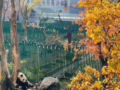 -沈阳森林动物园