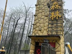 -象山森林公园