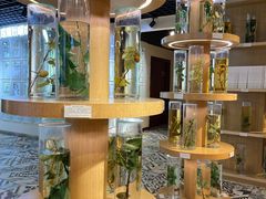 -新疆国际大巴扎