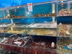 -仙螺岛海鲜自助餐厅(总店)