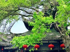 -成都武侯祠博物馆