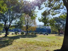 -南京市江宁方山