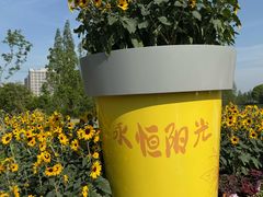 -上海植物园-4号门售票处