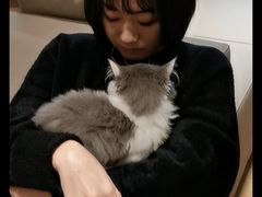 -猫腻·猫咖·撸猫馆(星光大道店)