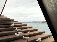 -悉尼歌剧院