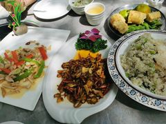 -山菌美食苑(振兴路店)