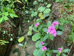 -驿舍·民國老营房院子私房菜(科学会堂店)