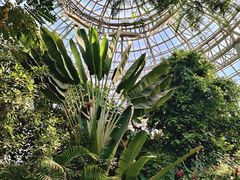 -郑州植物园