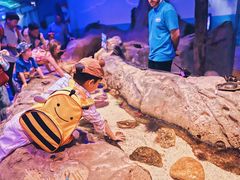 -悉尼海洋生物水族馆
