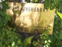 -庆岭迎宾园正宗活鱼馆