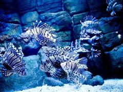 -成都浩海立方海洋公园